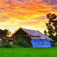 Program - Baan Phaasaa Thai