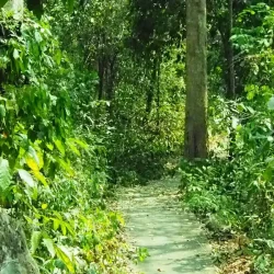 baan_phaasaa_thai_forest_amnat_charoen